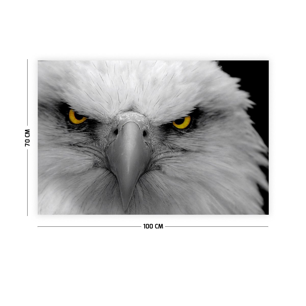 Kara Kartal Duvar Örtüsü