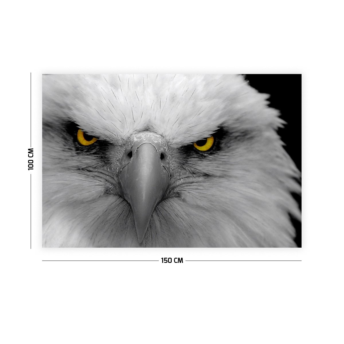 Kara Kartal Duvar Örtüsü