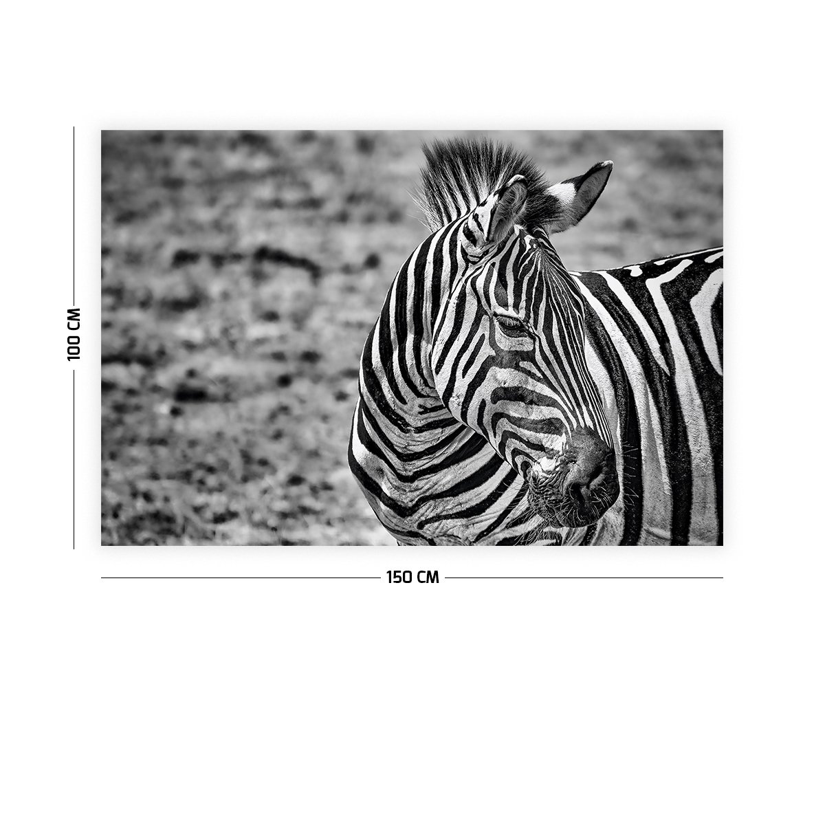 Zebra Duvar Örtüsü