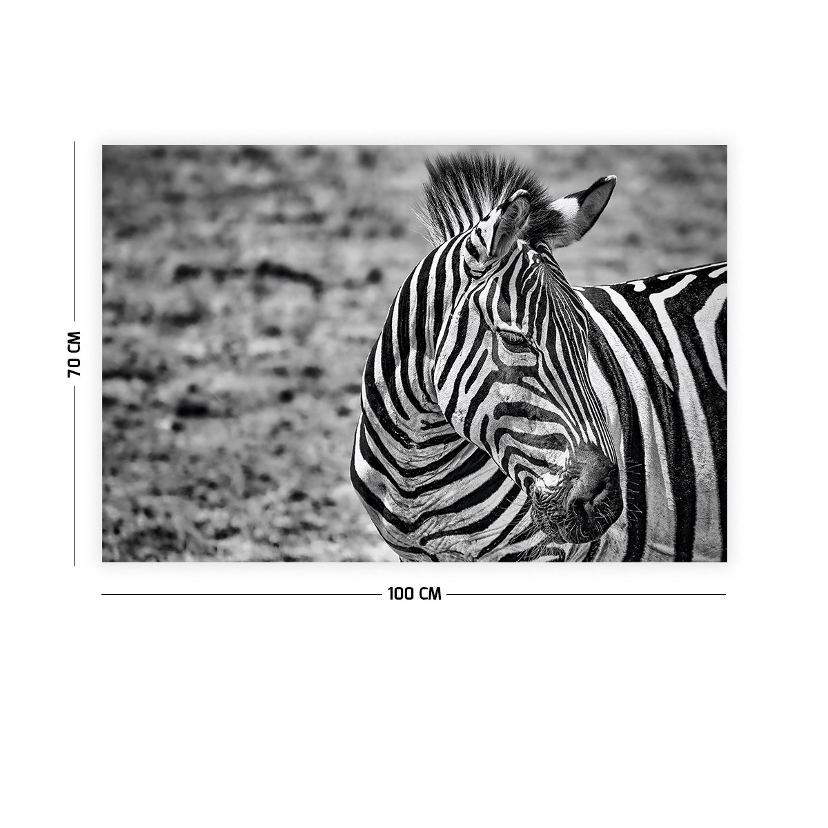 Zebra Duvar Örtüsü