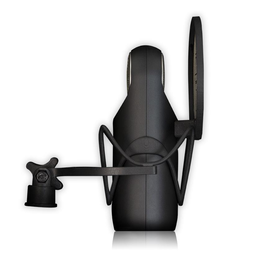 Aston Element Bundle Stüdyo Kayıt Paketi (Shock Mount + Pop Filter)