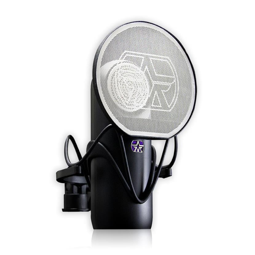 Aston Element Bundle Stüdyo Kayıt Paketi (Shock Mount + Pop Filter)