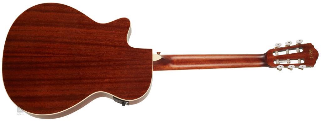 IBANEZ AEG7TN-NT Elektro Klasik Gitar (KILIF+PENA)