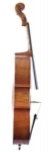VANETTA WN-19 4/4 Mat Çello