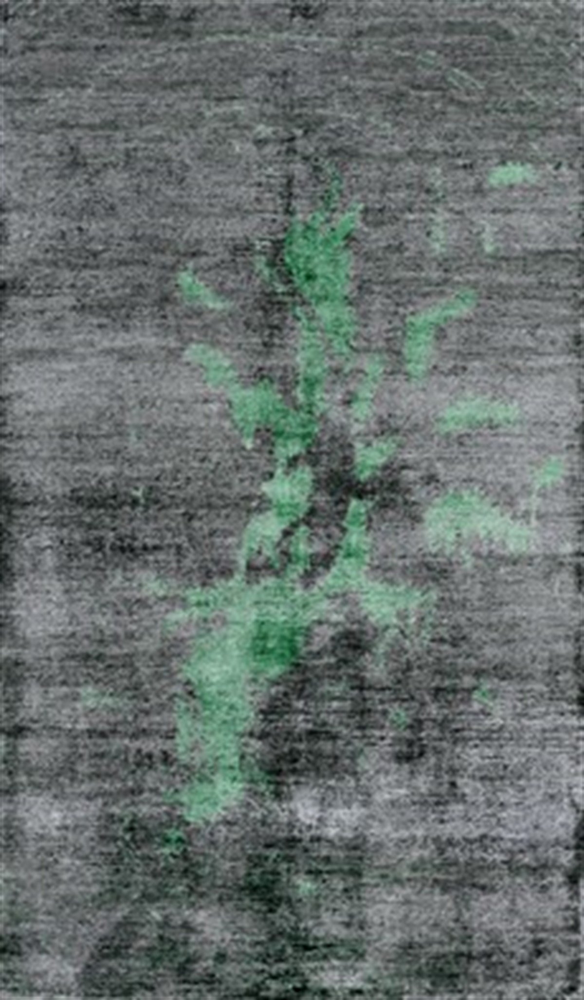 Hitit Yolluk Halı 100x200 Lidya Lüx 4078