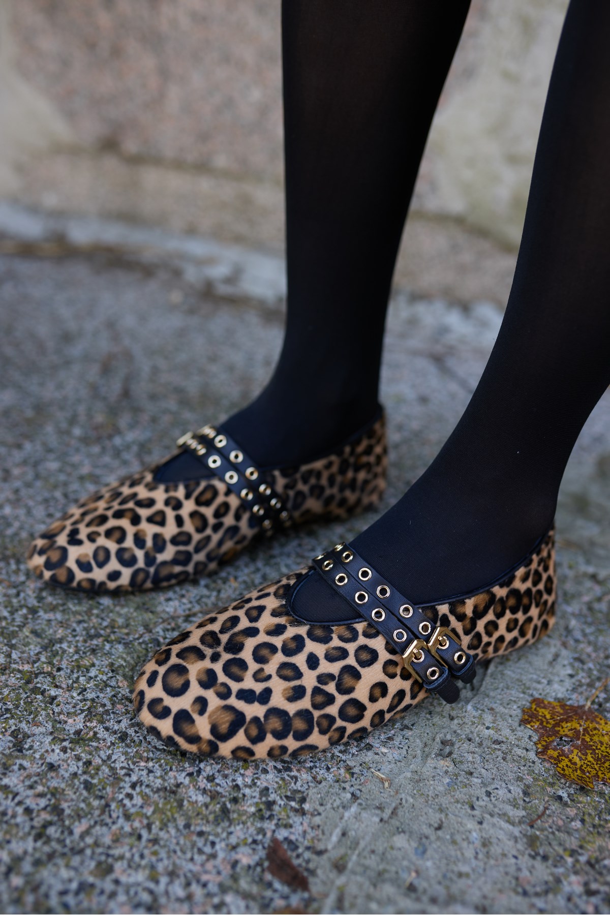 WİNKS KADIN LEOPAR TAY DERİ BABET