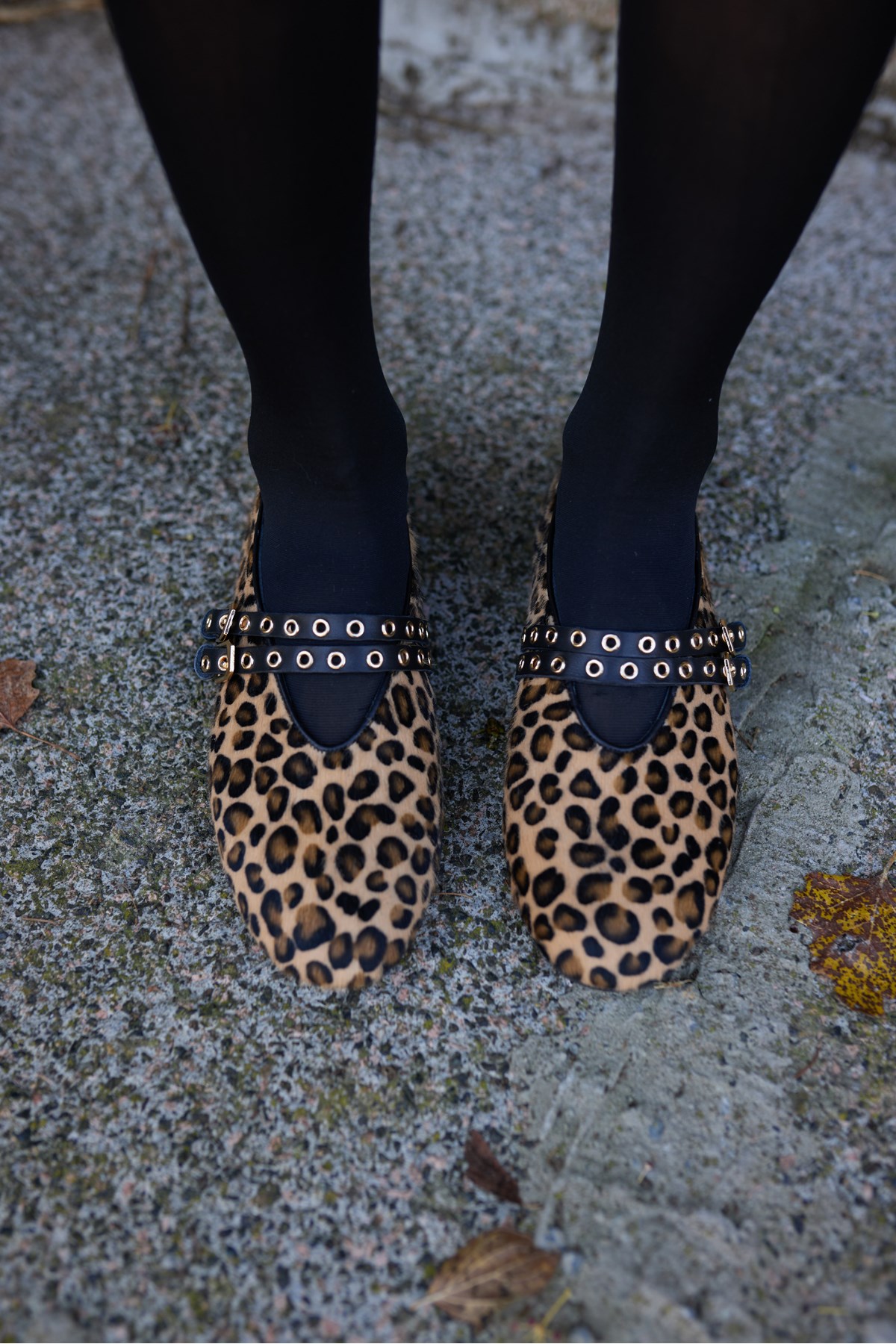 WİNKS KADIN LEOPAR TAY DERİ BABET