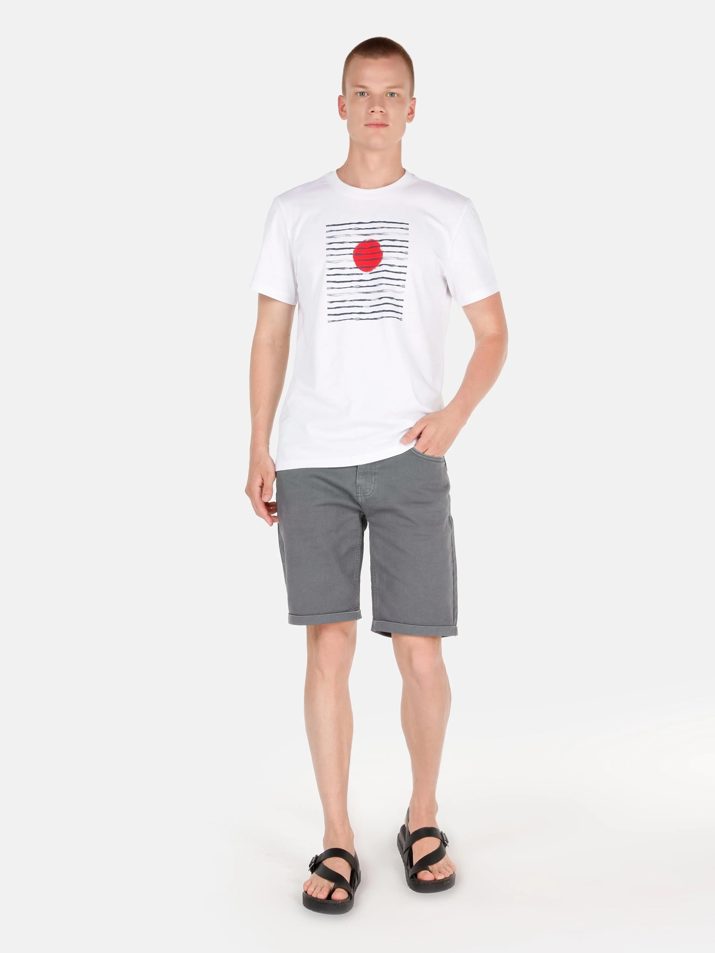 DOKUMA ALT ERKEK ŞORT Regular Fit