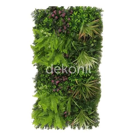 DEKORATİF BİTKİLER