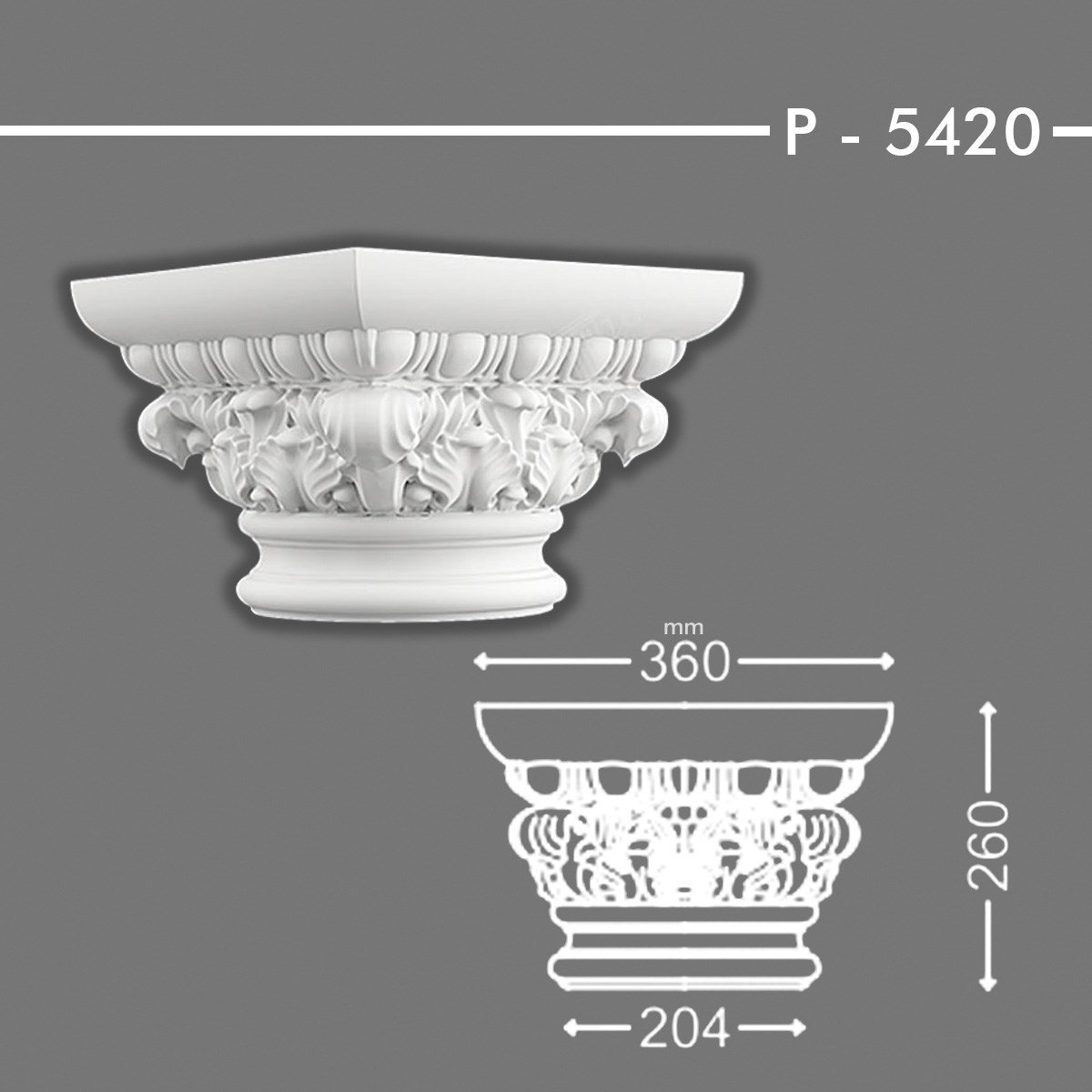 SÜTUN BAŞLIĞI P-5420