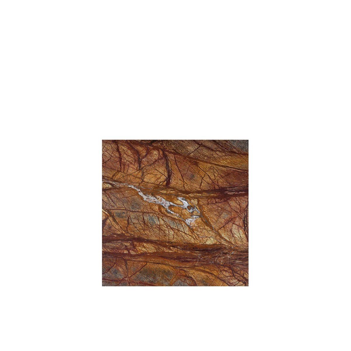 T286 Rain Forest Brown Marble