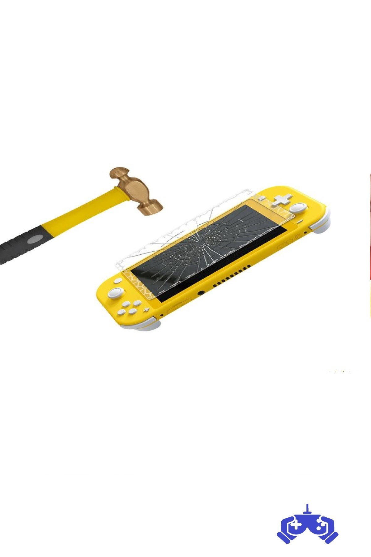 Nintendo Switch Lite Cam Ekran Koruyucu 9H