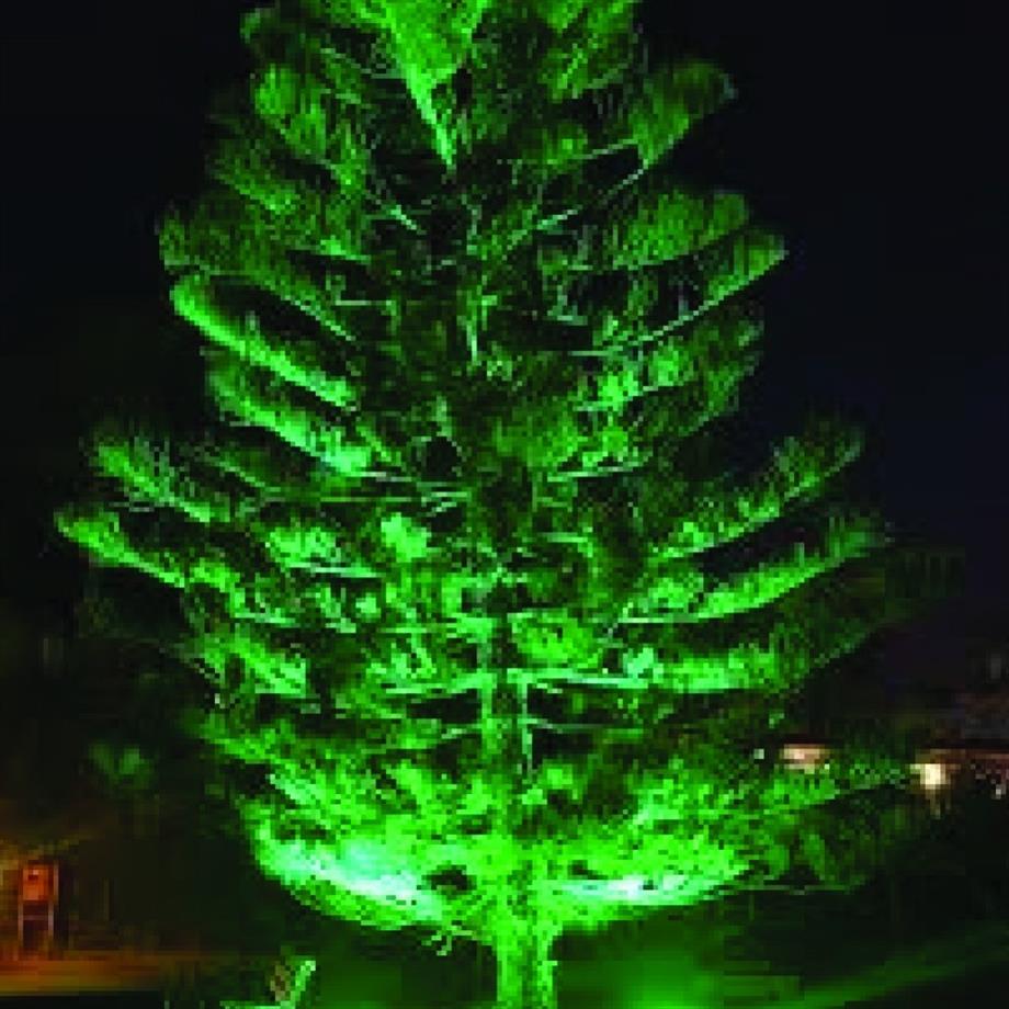 Solar Ürünler 20W Solar Set Üstü Armatür 22W Solar Çim Armatürü