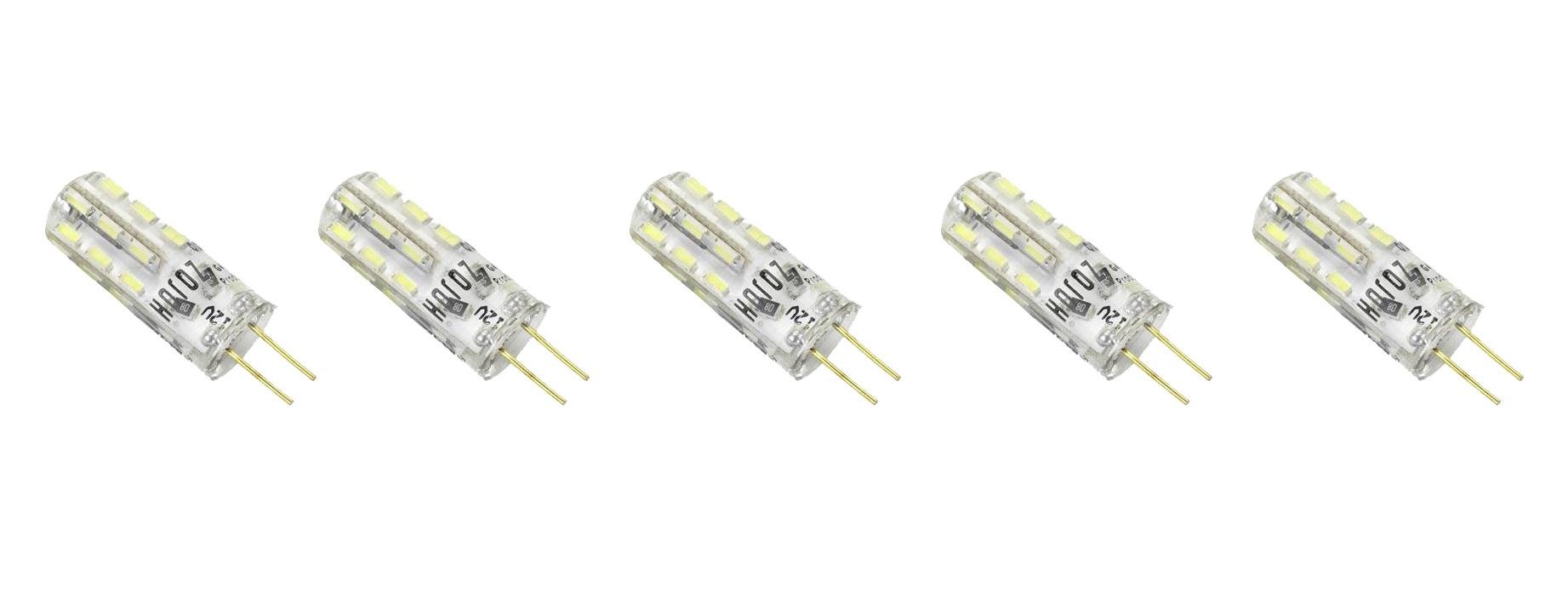 Led Ampuller MIDI - 1.5W LED KAPSÜL MIDI - 1.5W LED KAPSÜL-5Lİ