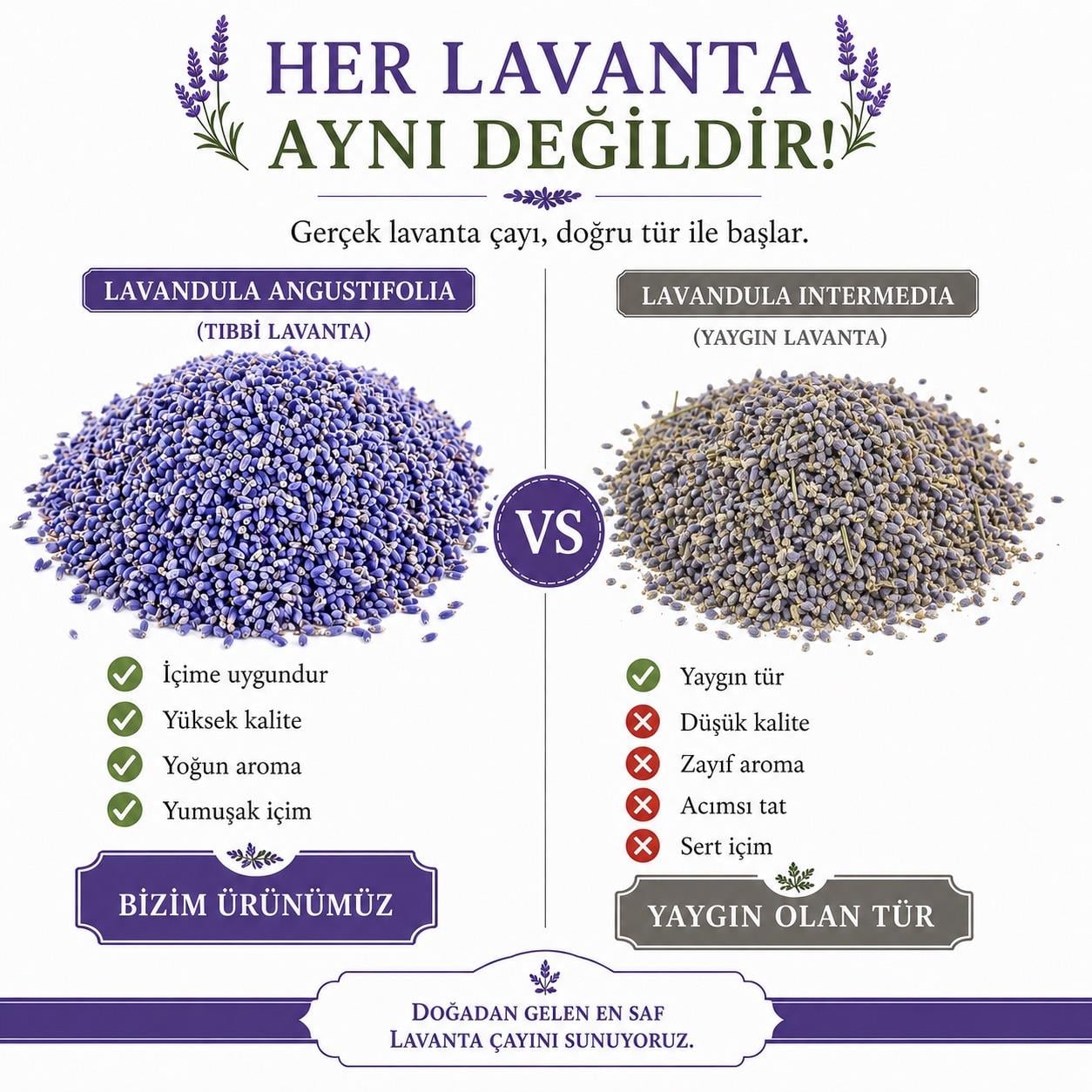 Lavanta Tomurcuk Çayı-70 gr. (2025 YENİ SEZON)