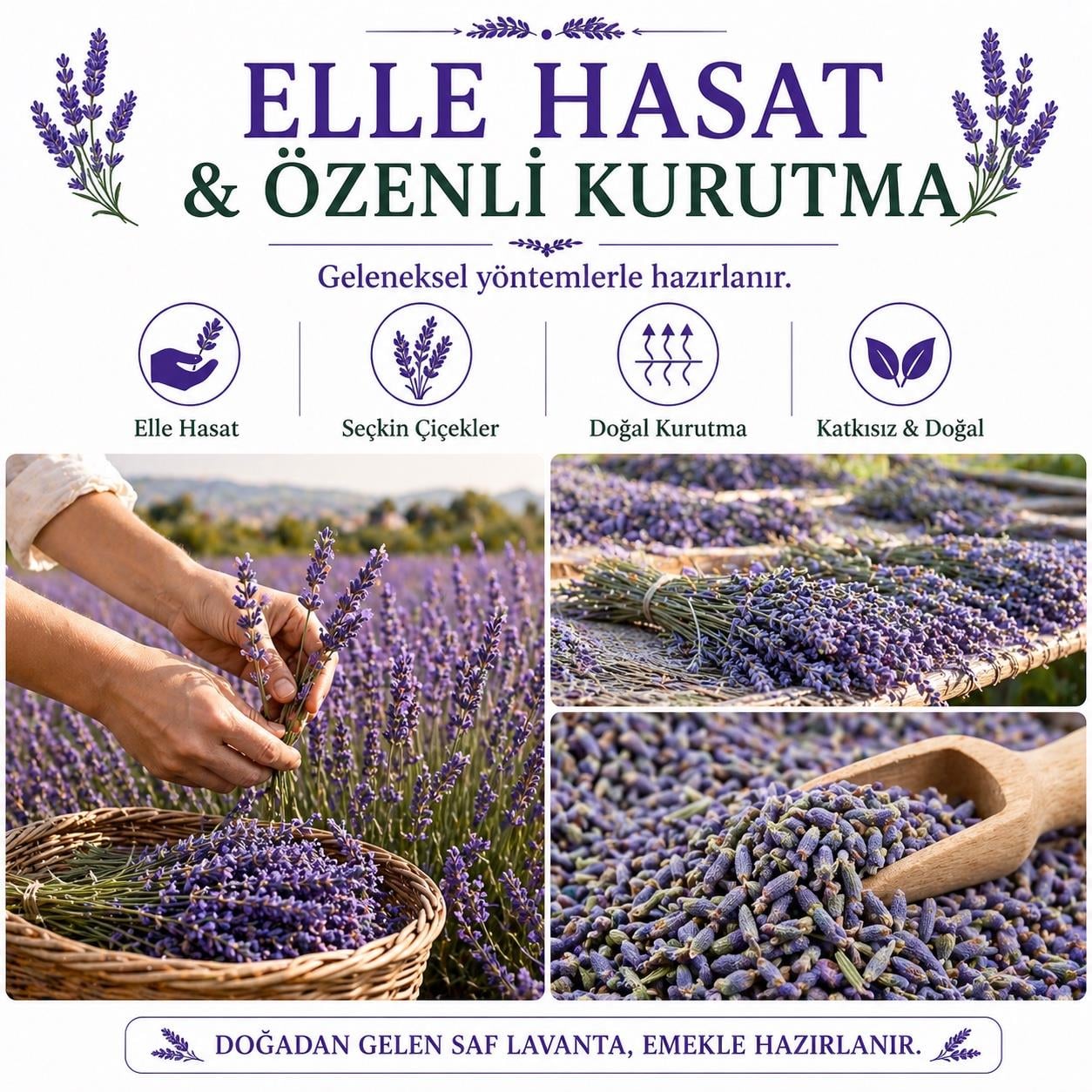 Lavanta Tomurcuk Çayı-70 gr. (2025 YENİ SEZON)