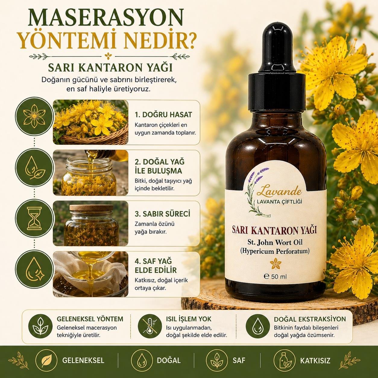 Sarı Kantaron Yağı 50 ml