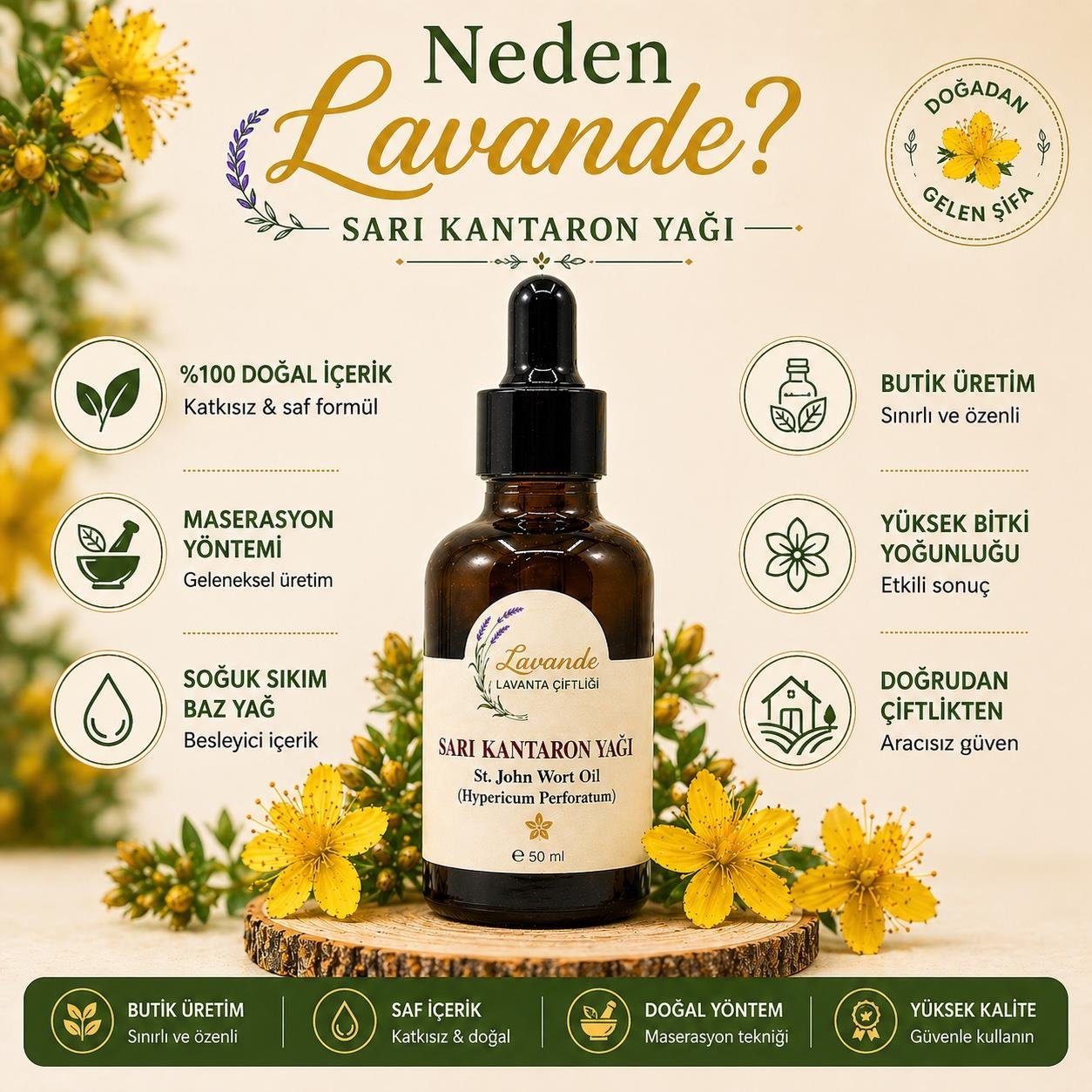 Sarı Kantaron Yağı 50 ml