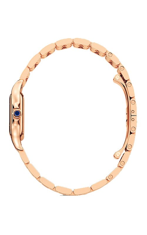 Cartier Panthere