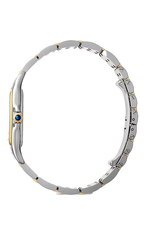 Cartier Panthere