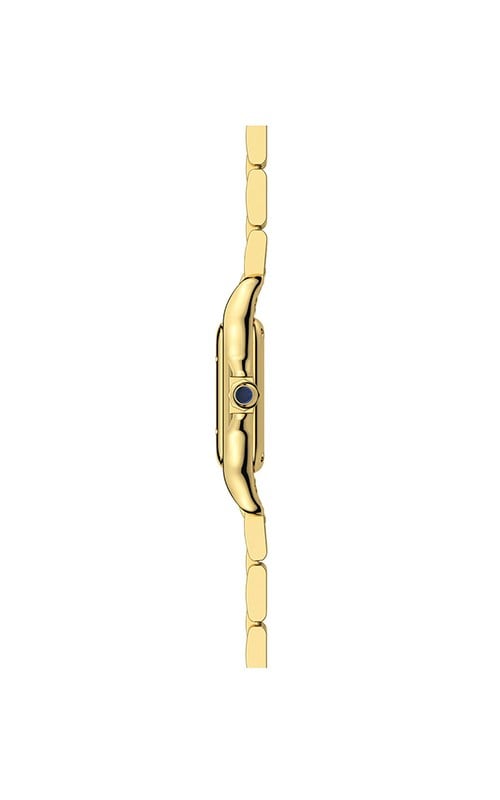 Cartier Panthere