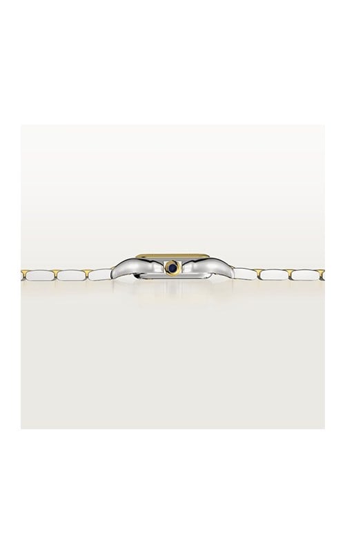 Cartier Panthere