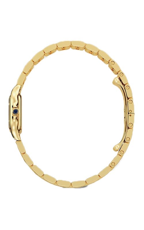 Cartier Panthere