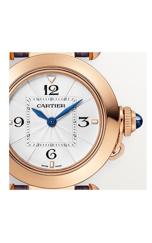 Cartier WGPA0018 Pasha Watches