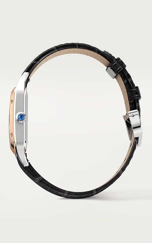 Cartier W2SA0012 Santos Watches