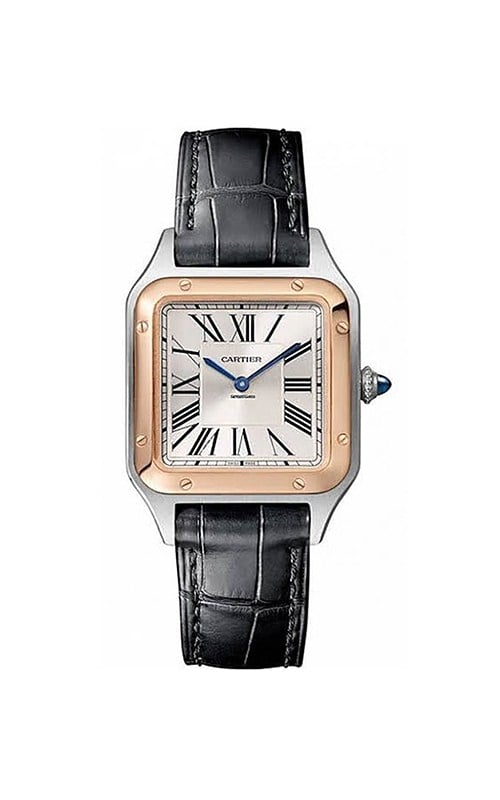 Cartier W2SA0012 Santos Watches