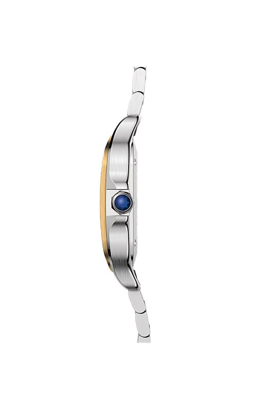 Cartier W2SA0016 Santos Watches