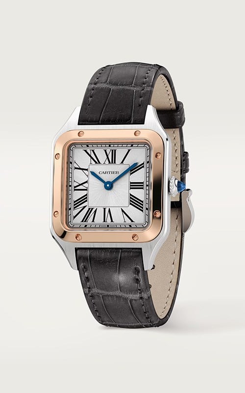 Cartier W2SA0012 Santos Watches