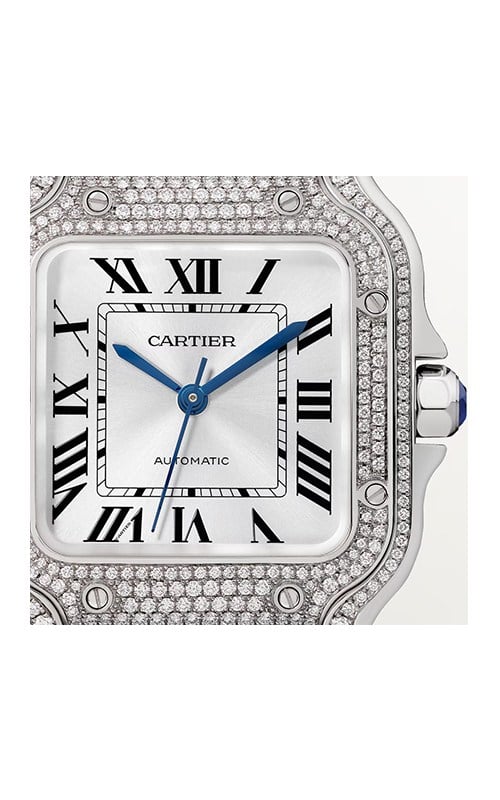 Cartier WJSA0014 Santos Watches