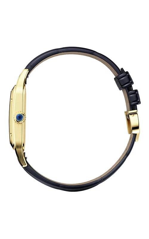 Cartier Santos