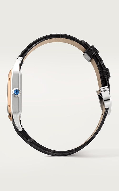 Cartier W2SA0012 Santos Watches
