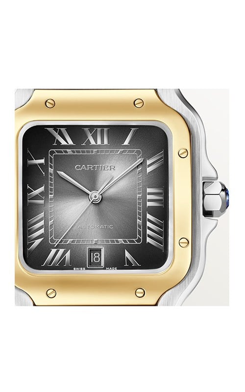 Cartier W2SA0030 Santos Watches