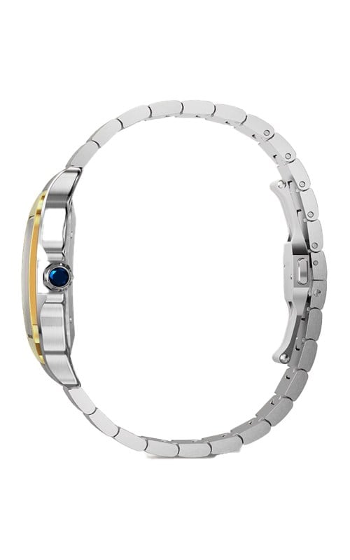 Cartier W2SA0030 Santos Watches