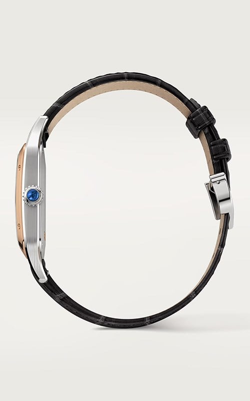 Cartier Santos