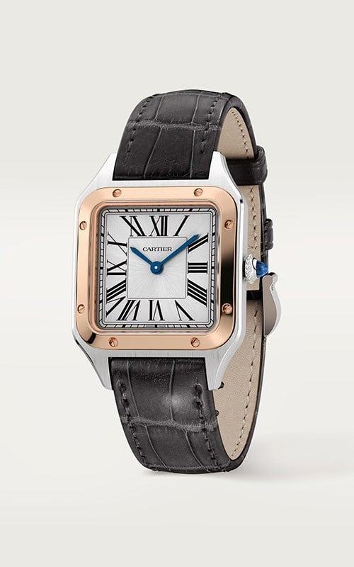 Cartier W2SA0012 Santos Watches