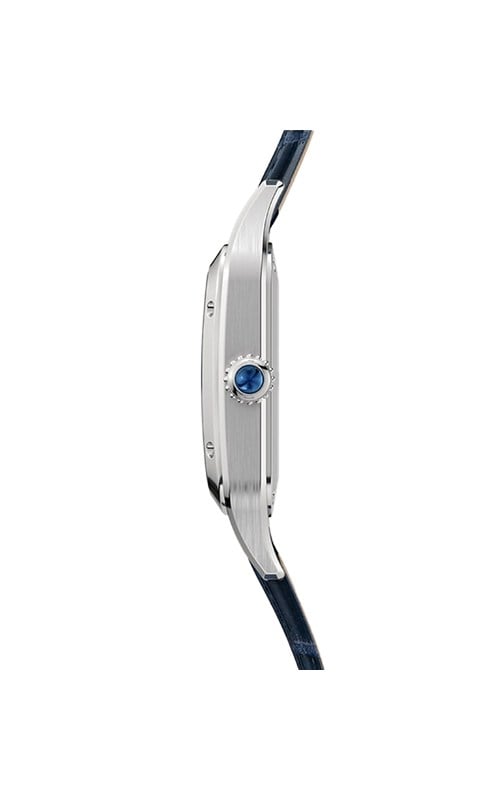 Cartier WSSA0086 Watches
