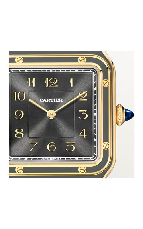 Cartier WGSA0097 Watches