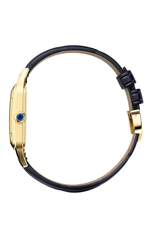 Cartier Santos Dumont