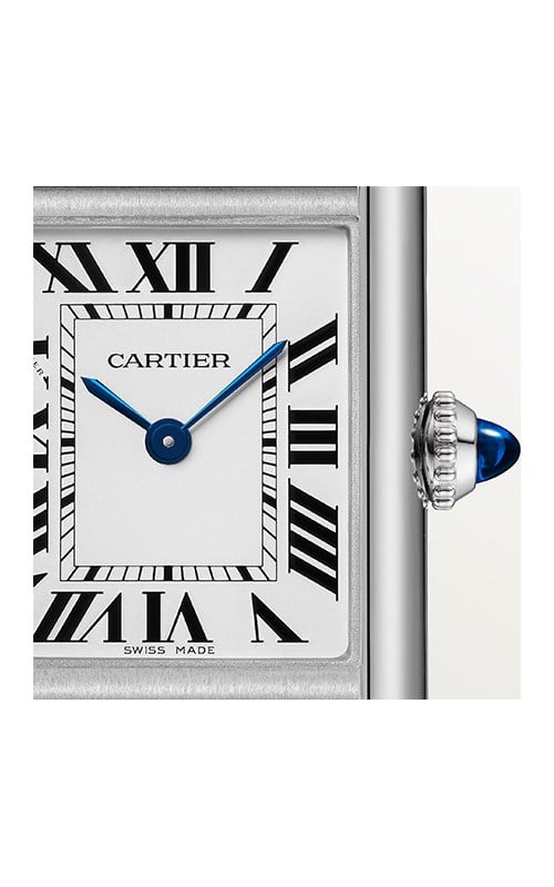 Cartier WSTA0119 Watches