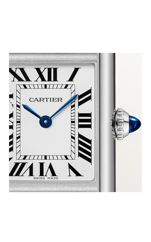 Cartier WSTA0121 Watches
