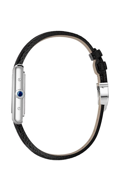 Cartier WSTA0119 Watches