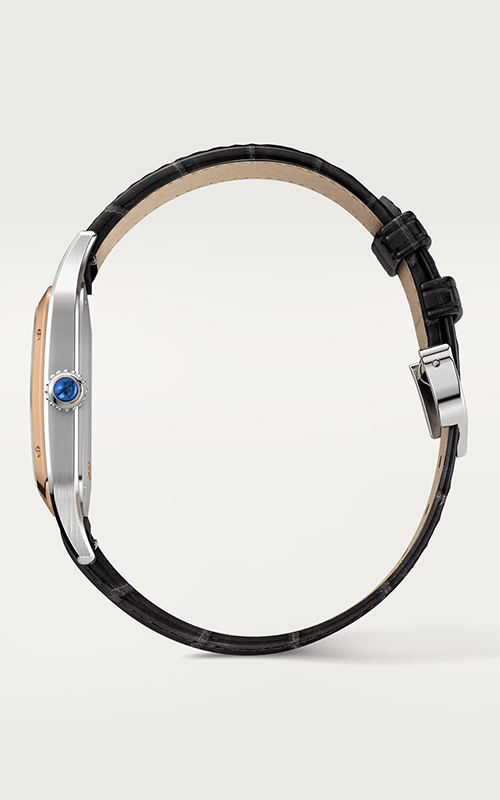 Cartier W2SA0011 Santos Dumont Erkek Kol Saati