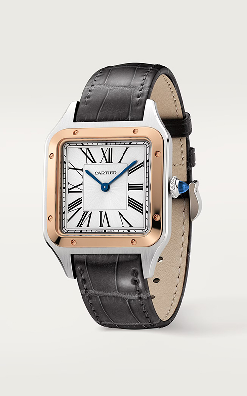 Cartier W2SA0011 Santos Dumont Erkek Kol Saati