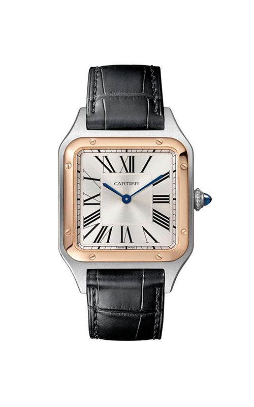 Cartier W2SA0011 Santos Dumont Erkek Kol Saati