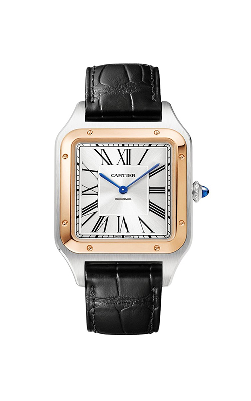 Cartier W2SA0017 Santos Dumont Erkek Kol Saati