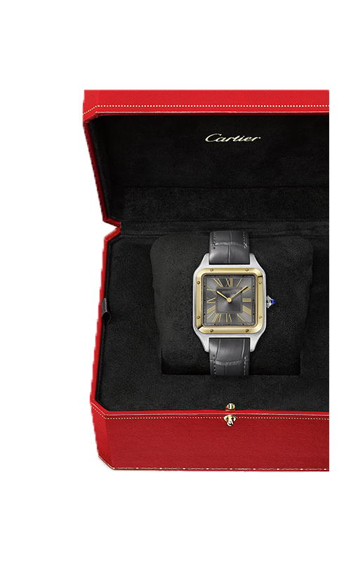 Cartier W2SA0028 Santos Watches